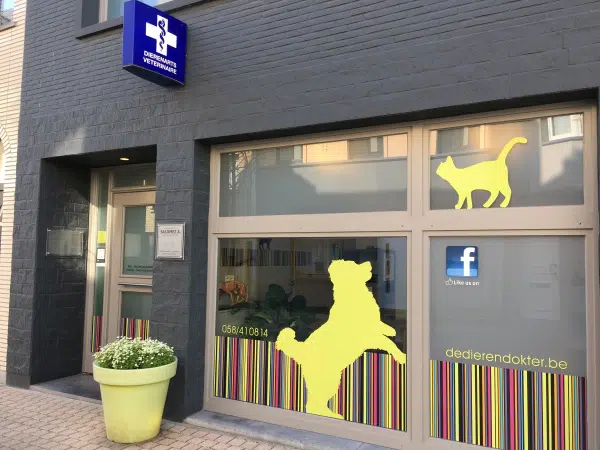 De Dierendokter (Alex Salomez)