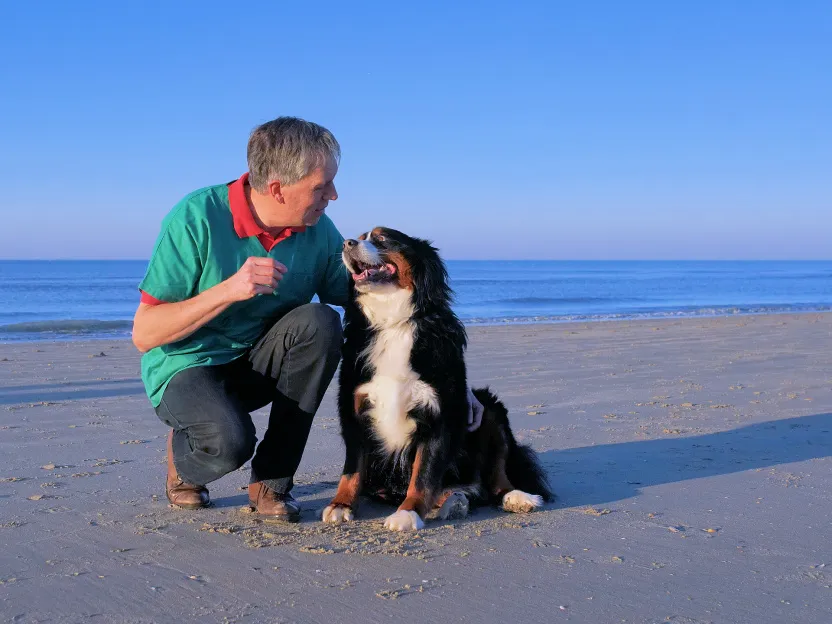 Dierenarts Johan Devloo