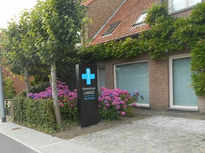 Dierenarts Ilse Kerckhof