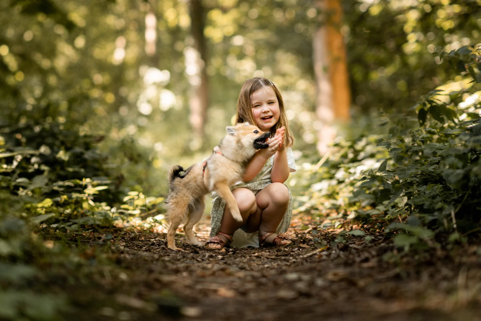 Voorbeeld van hondenfotografie door Nikki Barée