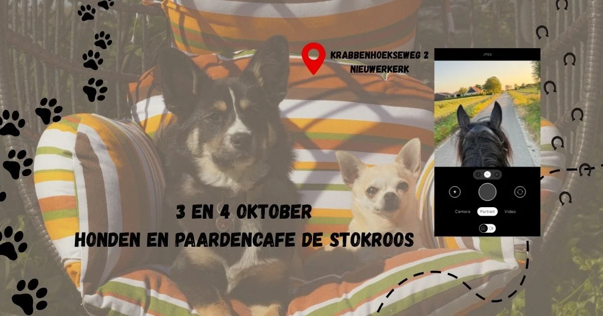 Aankondiging honden- en paardencafé De Stokroos op 3 en 4 oktober