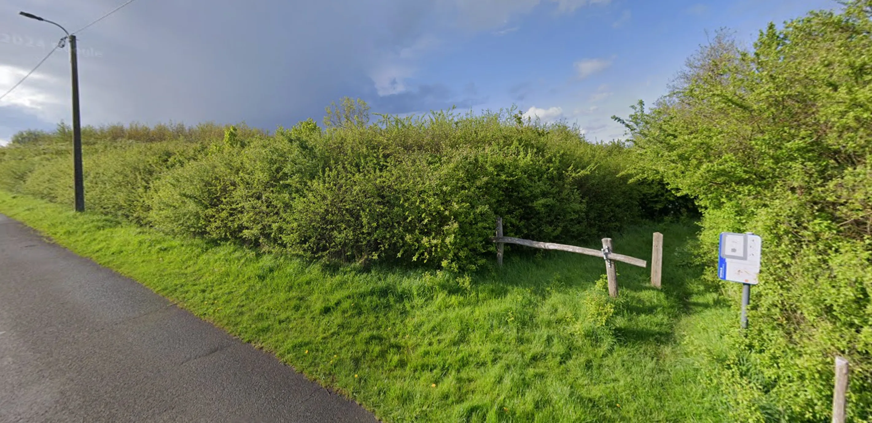 Hondenbos