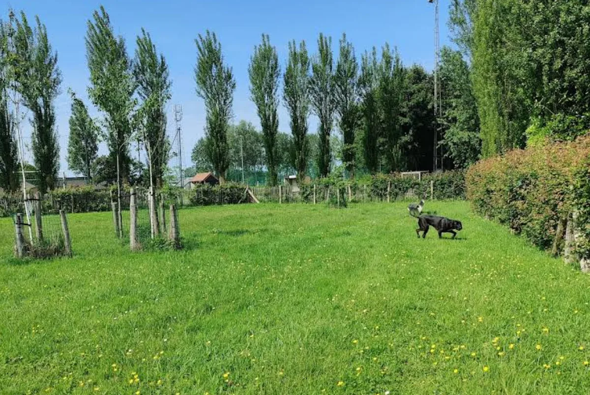 Losloopzone Centrum/Sport