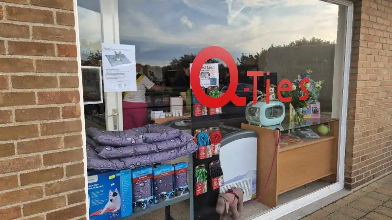 Q-ties