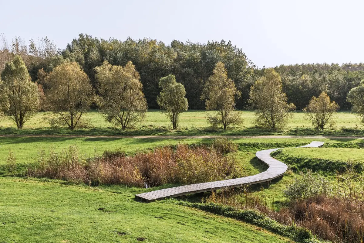Wandelpad door het Zeebos aan de Belgische kust